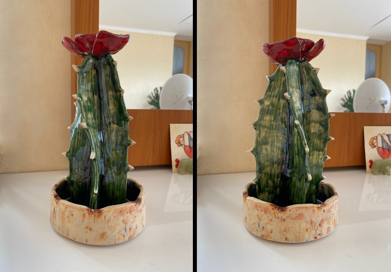 Керамический кактус с разных сторон